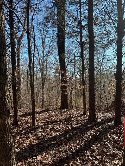 Lot 2 Lower River Road Nw, Charleston, TN 37310 - Image #3
