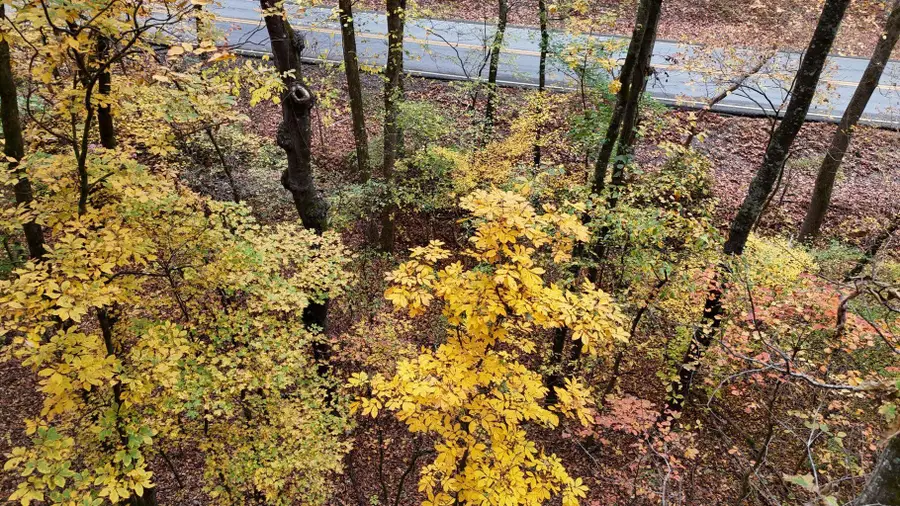 000 Lower River Road Nw, Georgetown, TN 37336 - Image #3