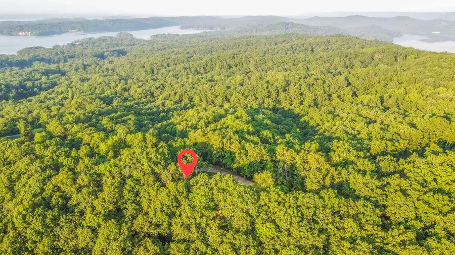 140 Mary Brown Lane, Rockwood, TN 37854 - Image #3