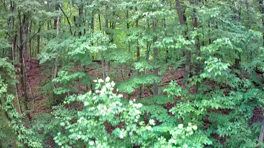 0 Highway 156, South Pittsburg, TN 37380 - Image #2