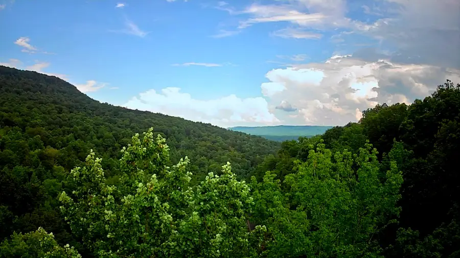 0 Highway 156, South Pittsburg, TN 37380 - Image #2