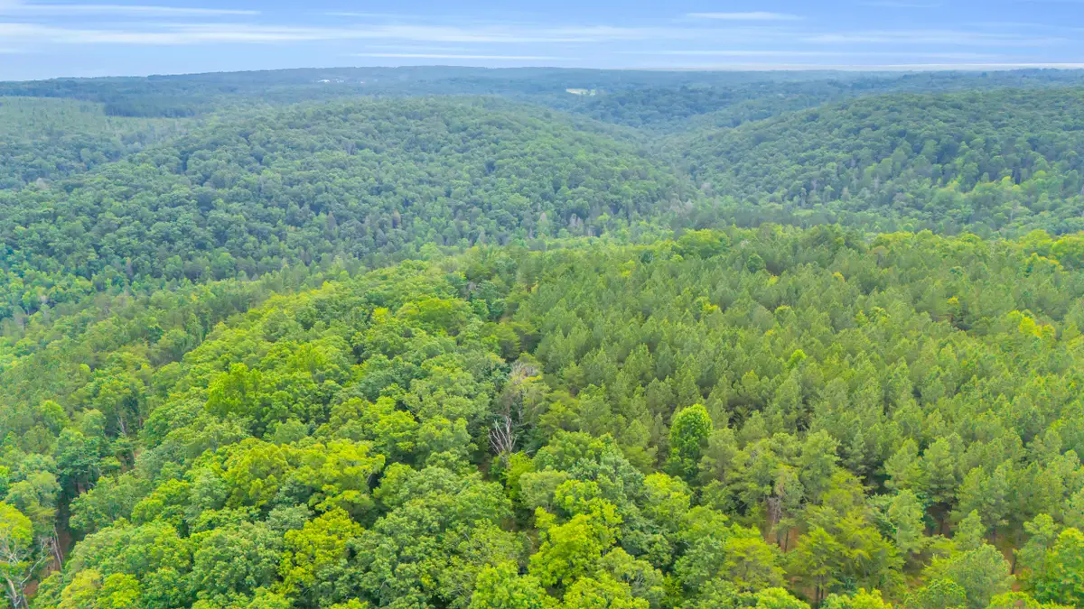 0 Worley Road #Lot 21, Soddy Daisy, TN 37379 - Image #1