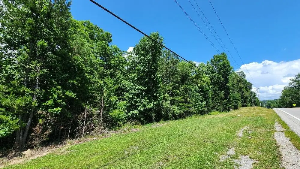 Lot5 Sr 108, Gruetli Laager, TN 37339 - #1