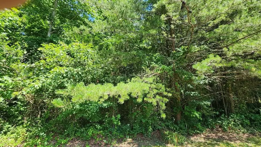 Lot5 Sr 108, Gruetli Laager, TN 37339 - #2
