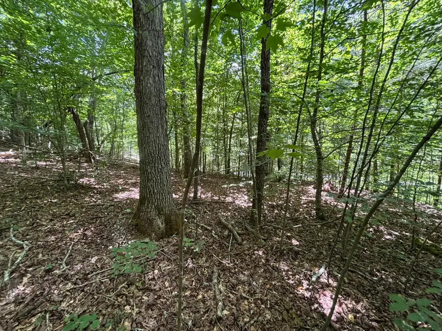 0 Deer Ridge Estates Road, Whitwell, TN 37397 - Image #2