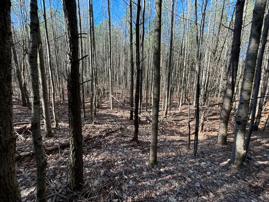 2 Fredonia Road, Dunlap, TN 37327 - Image #2