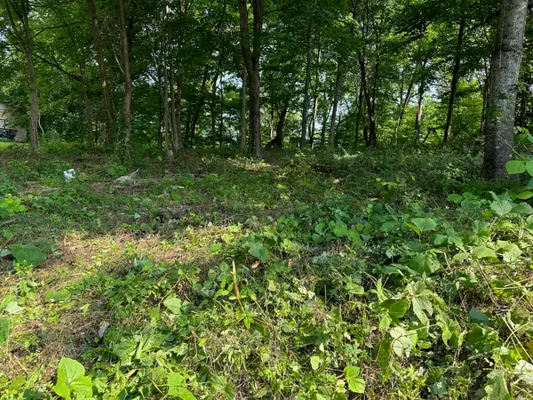 0 Black Oak Estates Road, Dayton, TN 37321