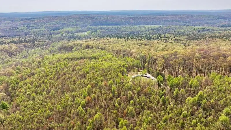 1867 Big Ridge Road, Spring City, TN 37381 - Image #3