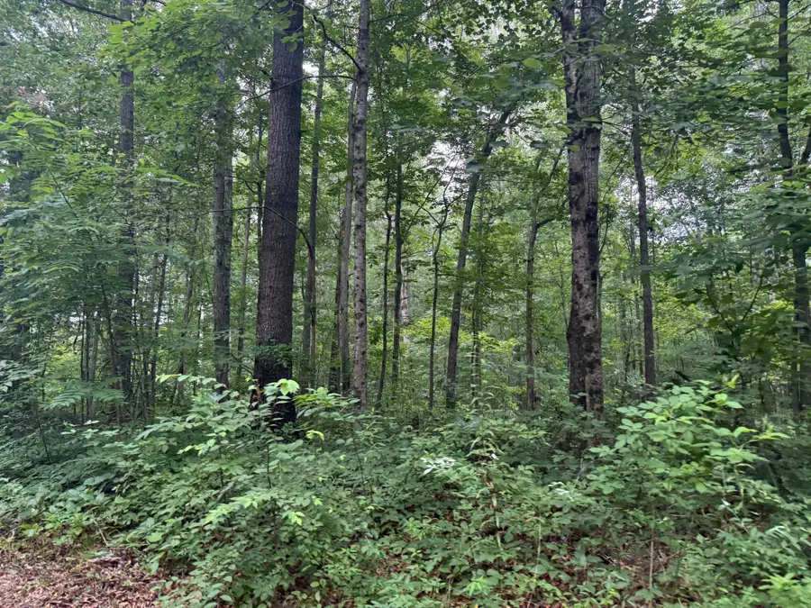 Lot 1 Tipple Road #Lot 1, Tracy City, TN 37387 - Image #3