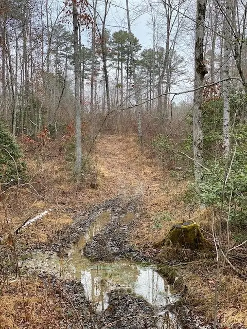 5 Colony Road, Gruetli Laager, TN 37339 - Image #3