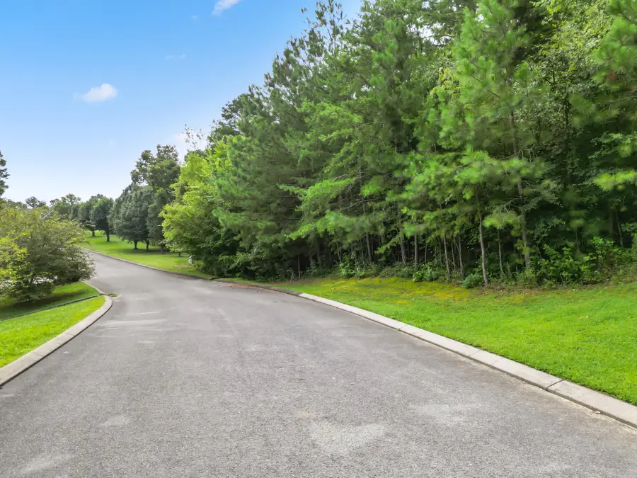 0 Summerfield Trail, Ringgold, GA 30736 - Image #2