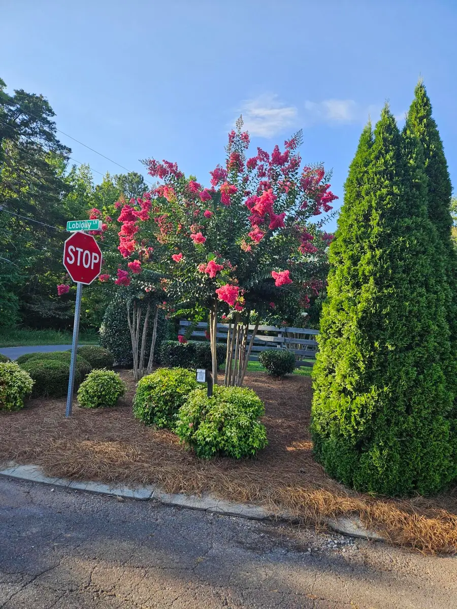 0 Loblolly Lane #17, Tunnel Hill, GA 30755 - Image #2