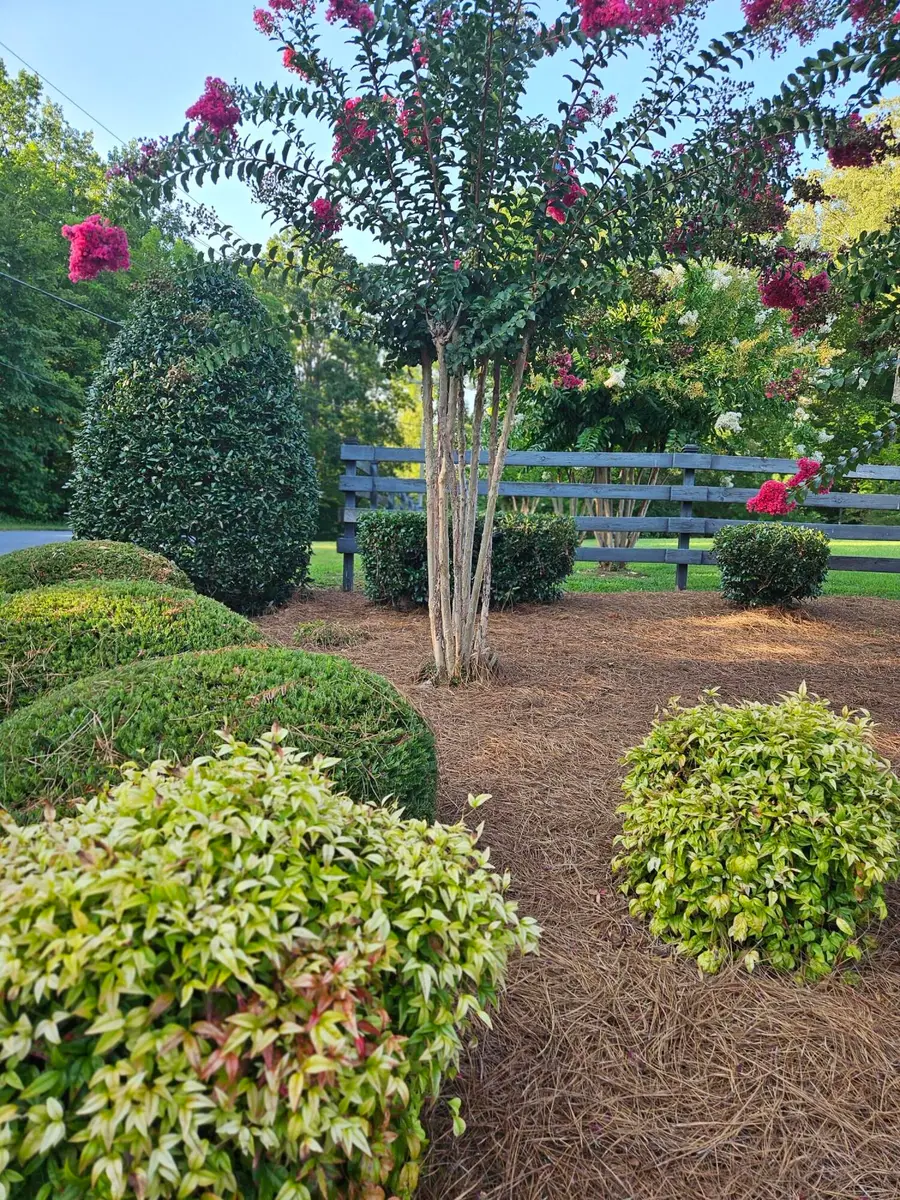 0 Loblolly Lane #17, Tunnel Hill, GA 30755 - Image #3