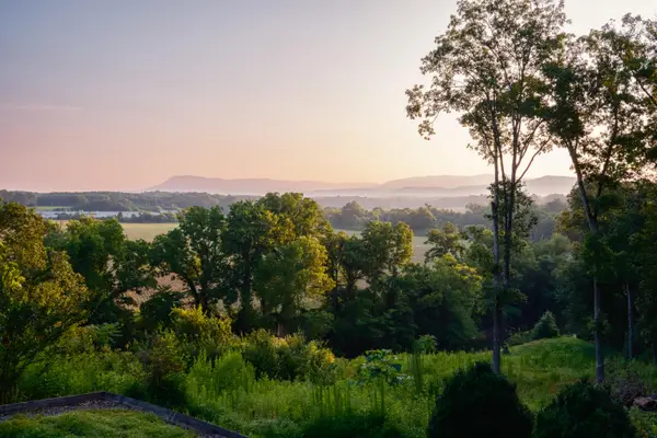 580 White Graves Road, Ranger, GA 30734