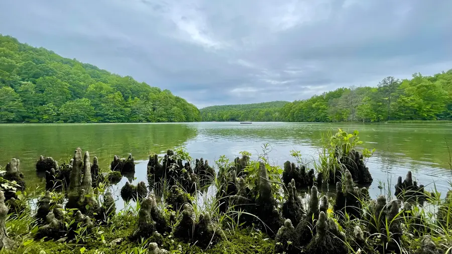 83 Cypress Lane #Lot 5, Dunlap, TN 37327 - Image #3