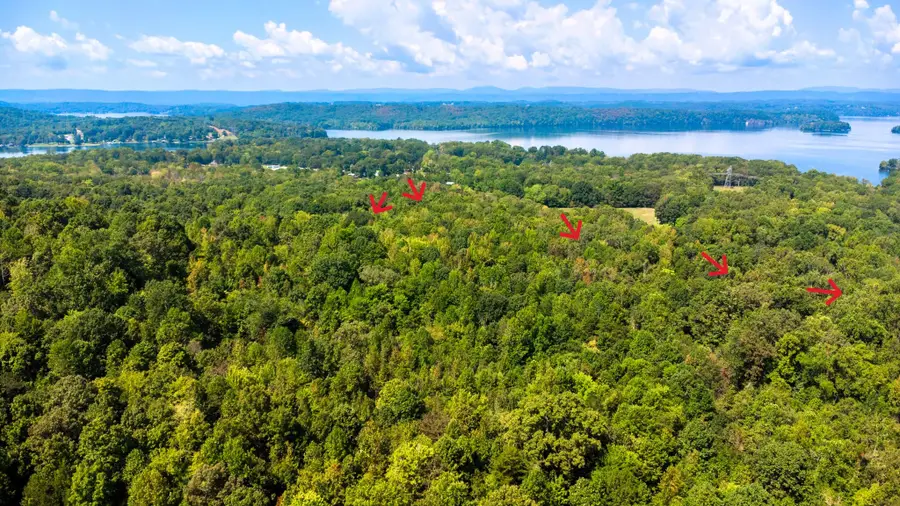 Tract 9 Pleasant Hill Road, Ten Mile, TN 37880 - Image #2