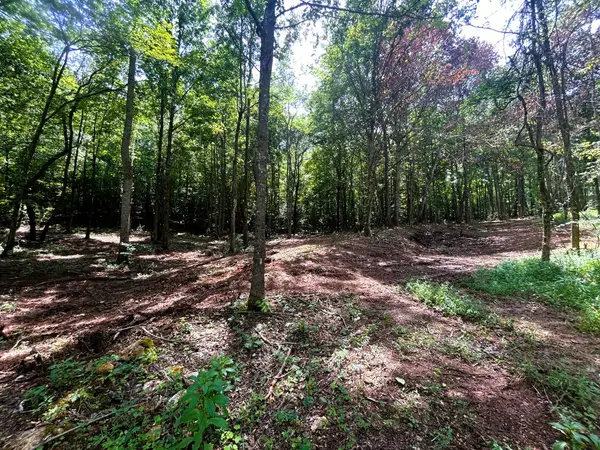 Tract 8 Pleasant Hill Road, Ten Mile, TN 37880