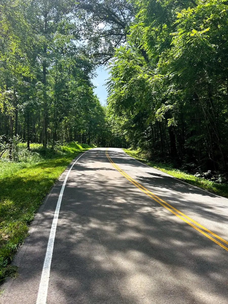 Tract 8 Pleasant Hill Road, Ten Mile, TN 37880 - Image #3