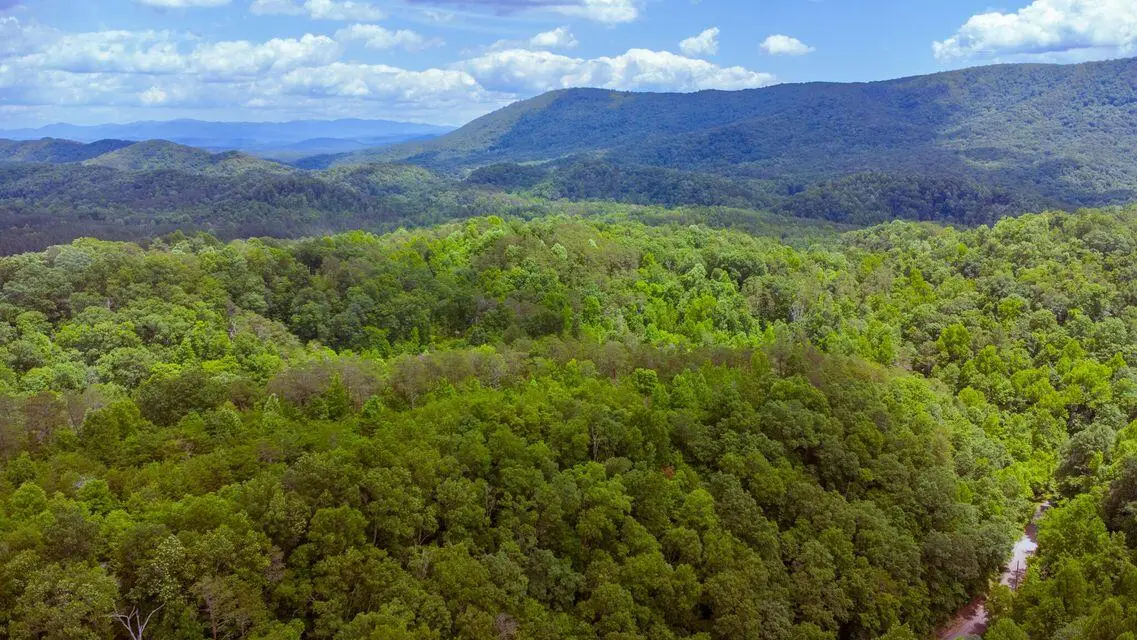 1133-1137 County Road 480, Englewood, TN 37329 - Image #1