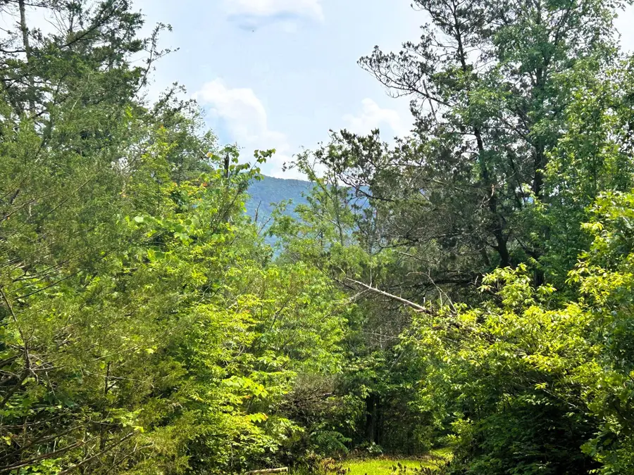 1133-1137 County Road 480, Englewood, TN 37329 - Image #2