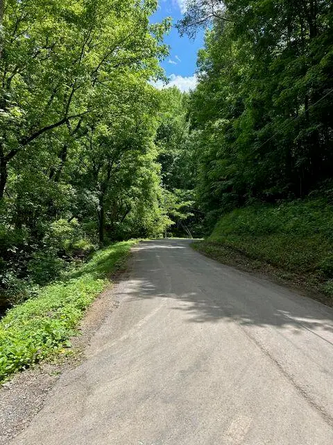 1133-1137 County Road 480, Englewood, TN 37329 - Image #3