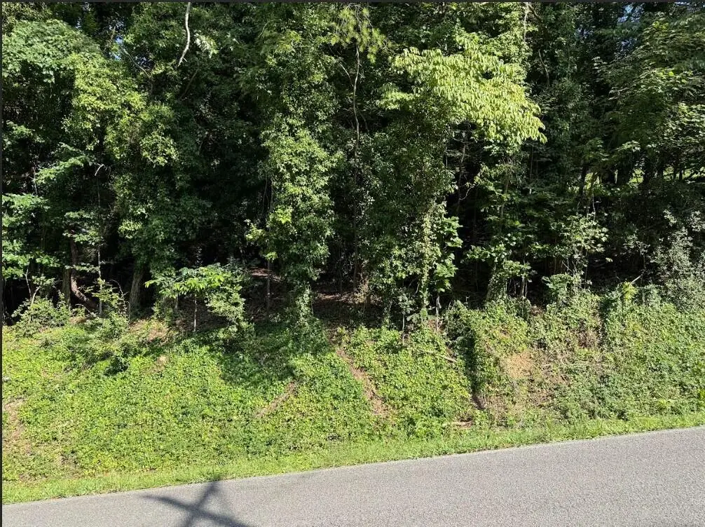 Lot 89 Edgewater Avenue, Dayton, TN 37321 - Image #1