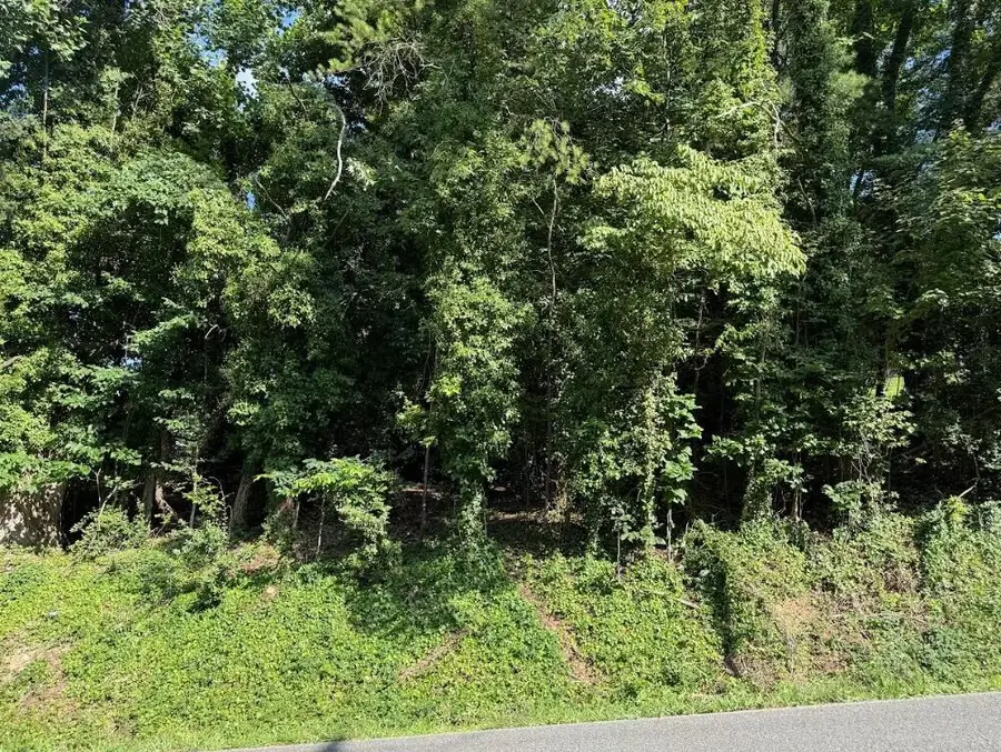 Lot 89 Edgewater Avenue, Dayton, TN 37321 - Image #2