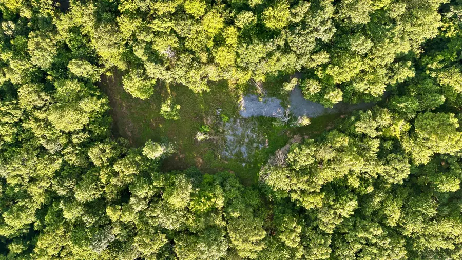 89 No Name Drive, Dunlap, TN 37327 - #3