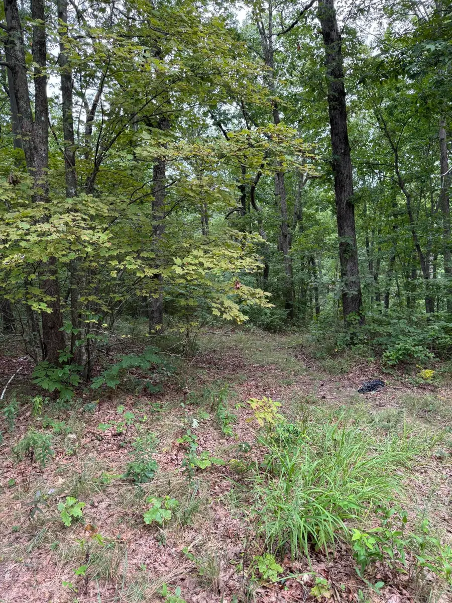 0 Tatum Gulf Road, Menlo, GA 30731 - Image #3