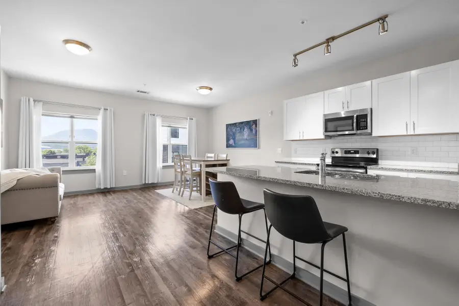 782 Riverfront Parkway #322, Chattanooga, TN 37402 - Image #3