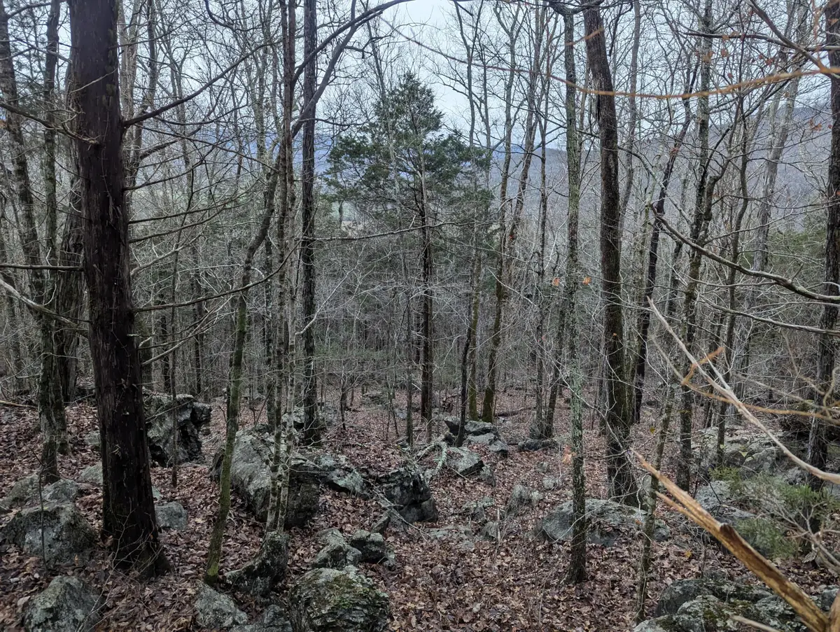 0 Martin Gaines Road, South Pittsburg, TN 37380 - Image #1