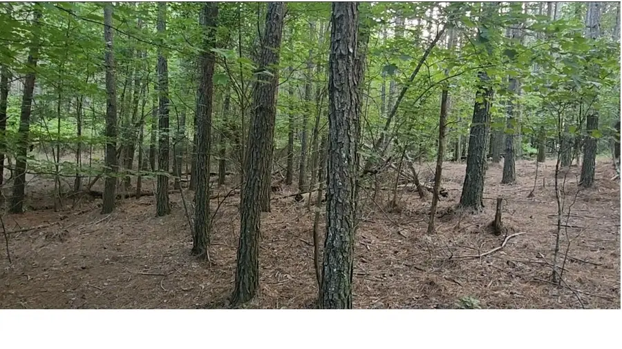 0 High Point Lane #Lot 79, Jasper, TN 37347 - Image #3