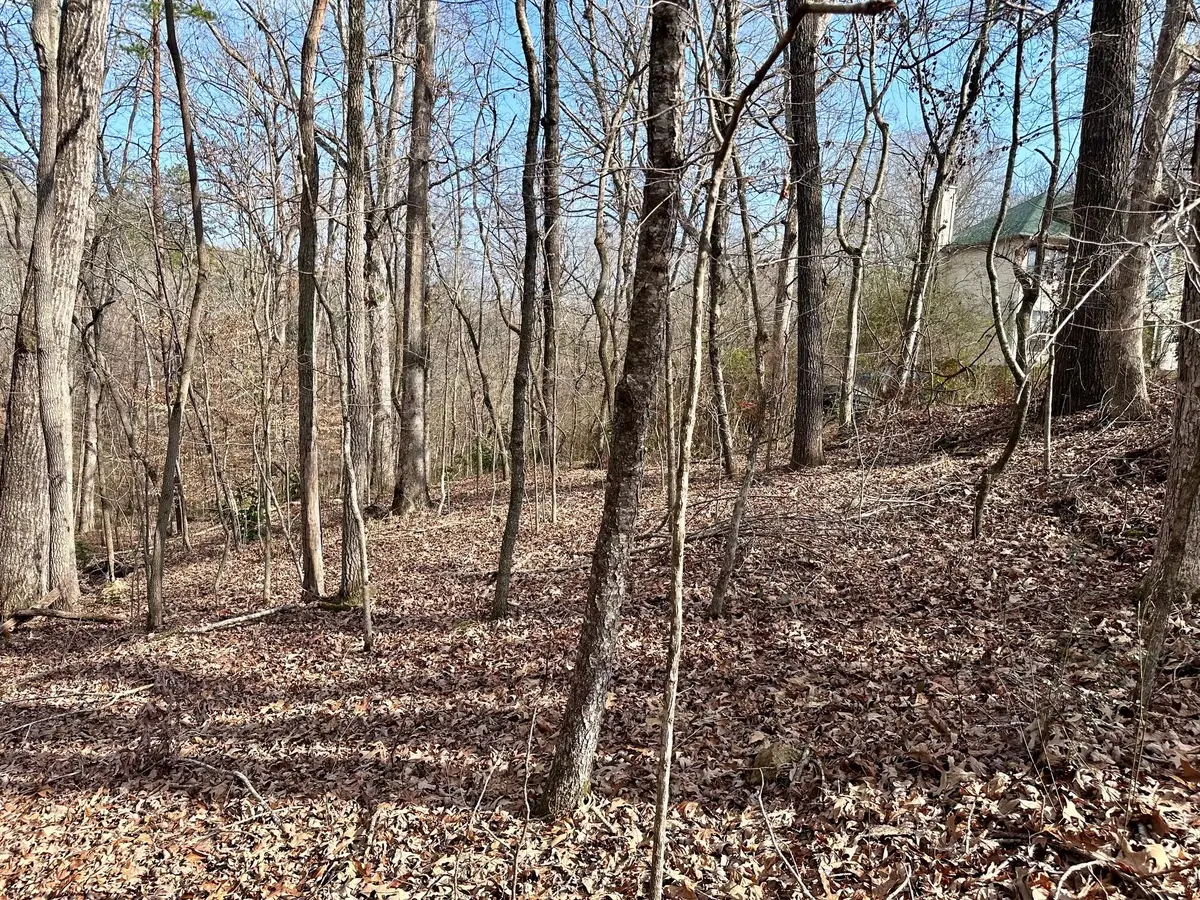 0 Lodestone Drive, Ooltewah, TN 37363 - #1