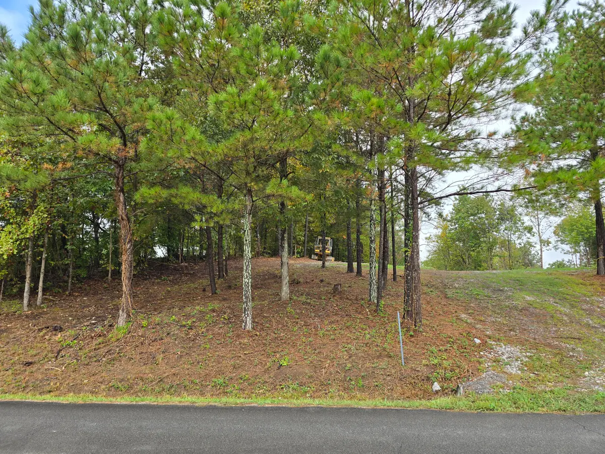 0 Old Alabama Road Sw, McDonald, TN 37353 - Image #1