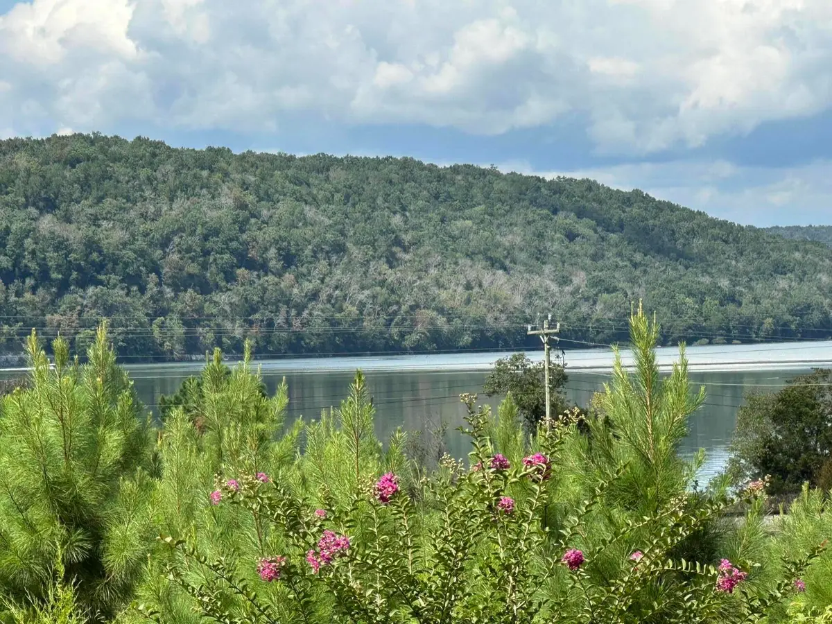 Lot #6 Highway 156, South Pittsburg, TN 37380 - Image #1