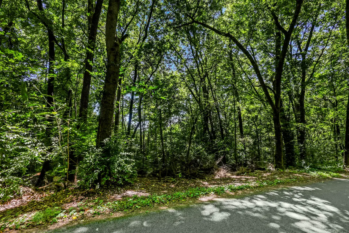 0 Old Tasso Place Ne, Cleveland, TN 37312 - Image #1