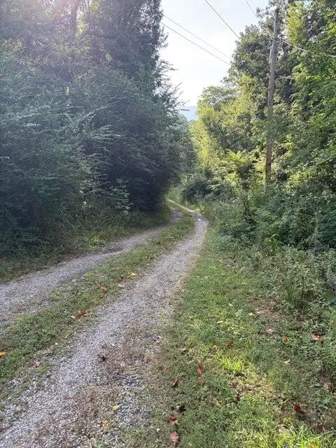 163 Corman Lane, Benton, TN 37307 - Image #3