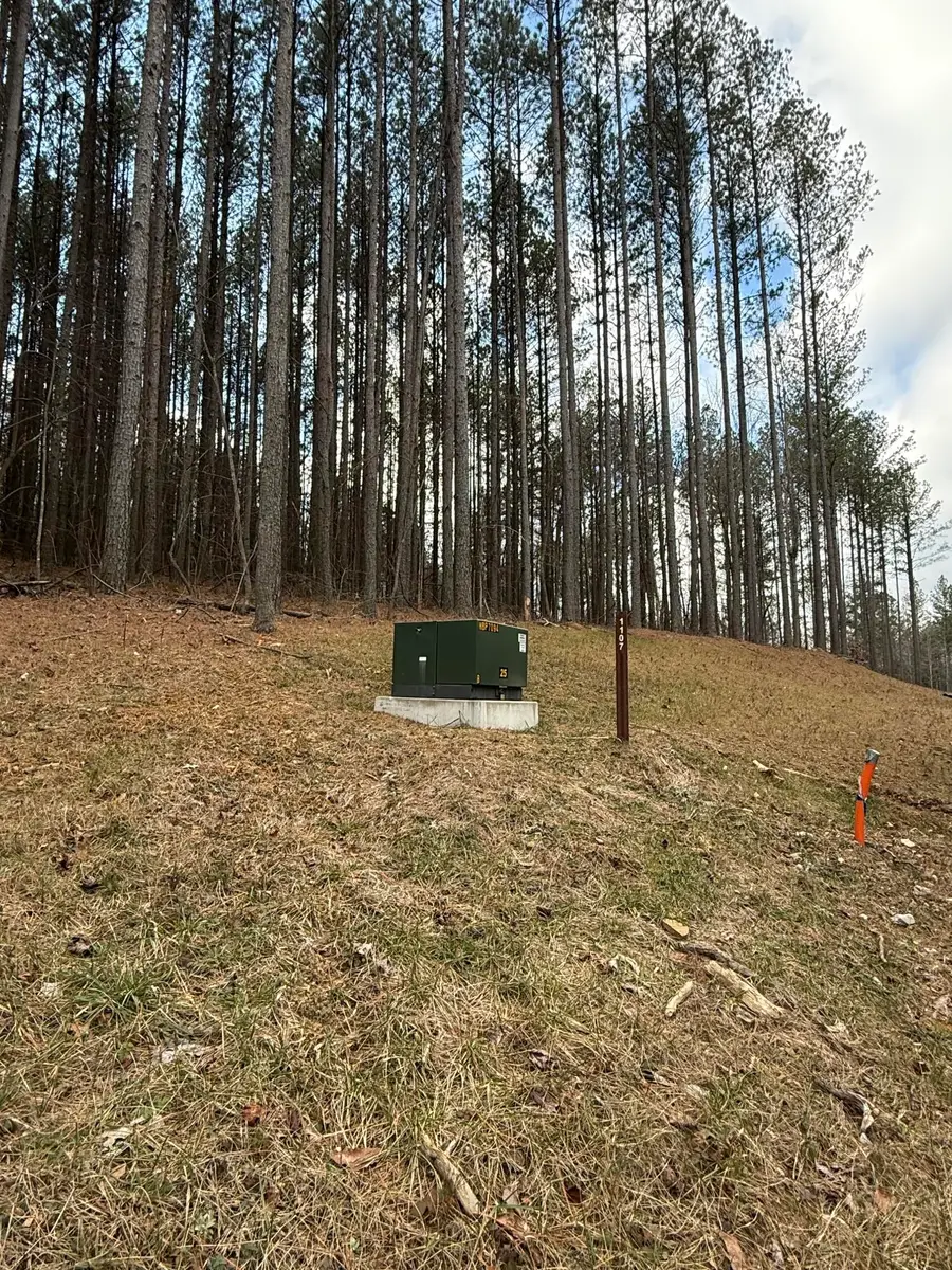 0 Birds Eye Way #1107, Guild, TN 37340 - Image #2