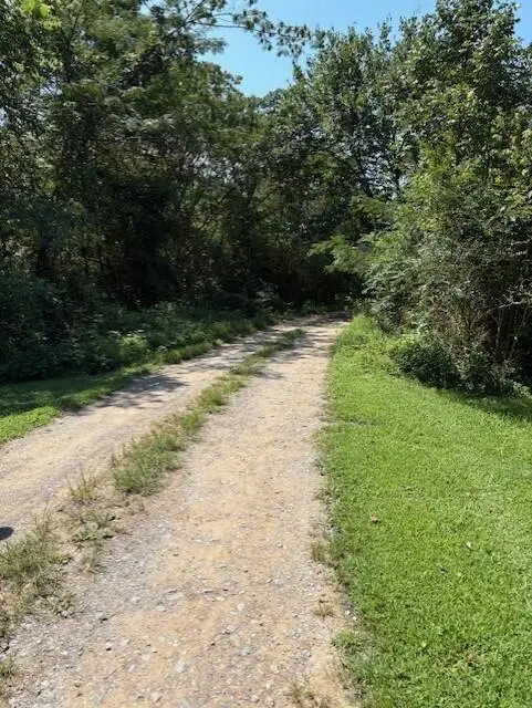 0 Buddy Skyles Tract 1 Road, Dunlap, TN 37327 - Image #3