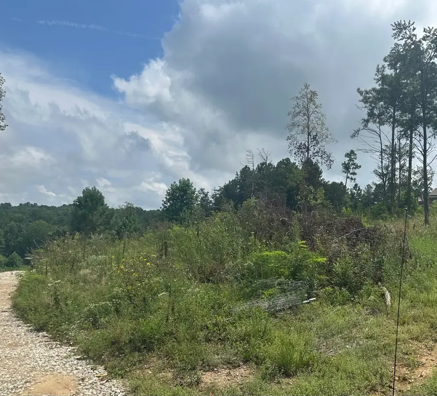 11342 Fredonia Road, Dunlap, TN 37327 - Image #3