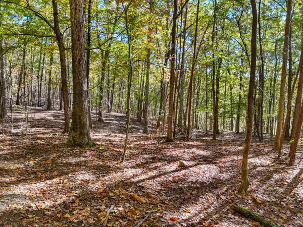 Lot 7 Mcdonald Road, McDonald, TN 37353