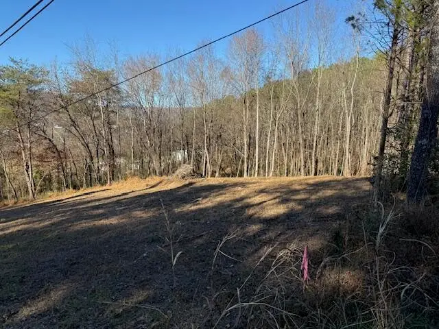 Lot 22 Moon Circle, Spring City, TN 37381 - Image #2