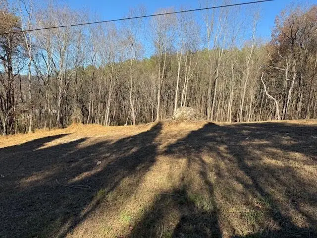 Lot 22 Moon Circle, Spring City, TN 37381 - Image #3