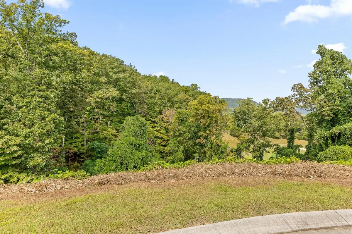 587 Kestrel Lane, Chattanooga, TN 37419 - Image #1