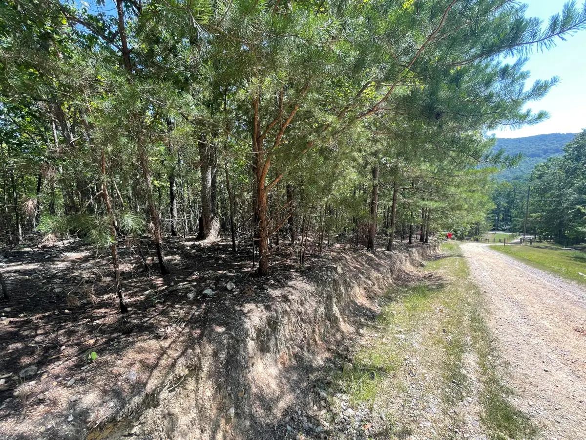 0 Sloppy Floyd Lake Road, Summerville, GA 30747 - Image #1