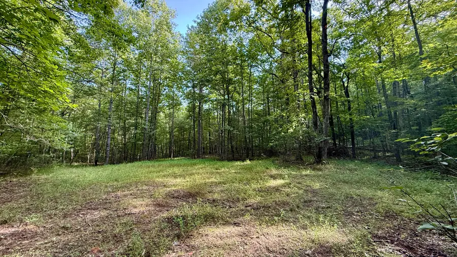 00 Walker Branch Road #Lot 3, Dunlap, TN 37327 - Image #2