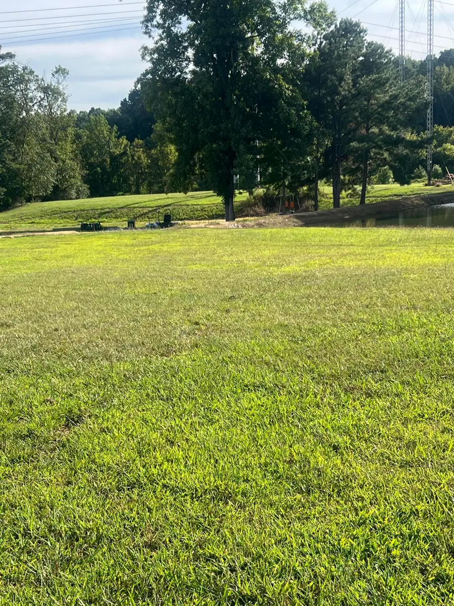 87 Peavine Road, Ringgold, GA 30736 - Image #2