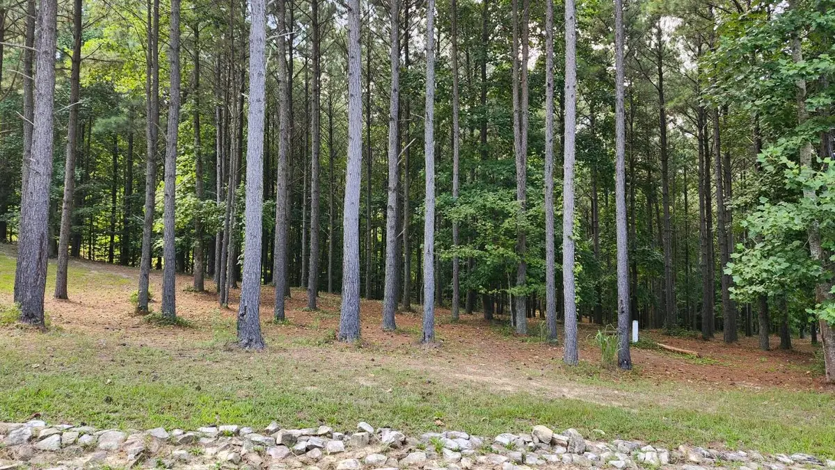 201/225 Compass Drive #Lots 119-120, Jasper, TN 37347 - Image #1