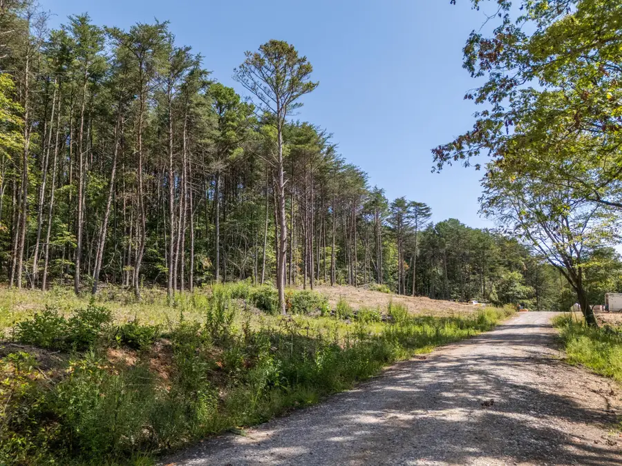 841 Griffith Road, Pikeville, TN 37367 - Image #3