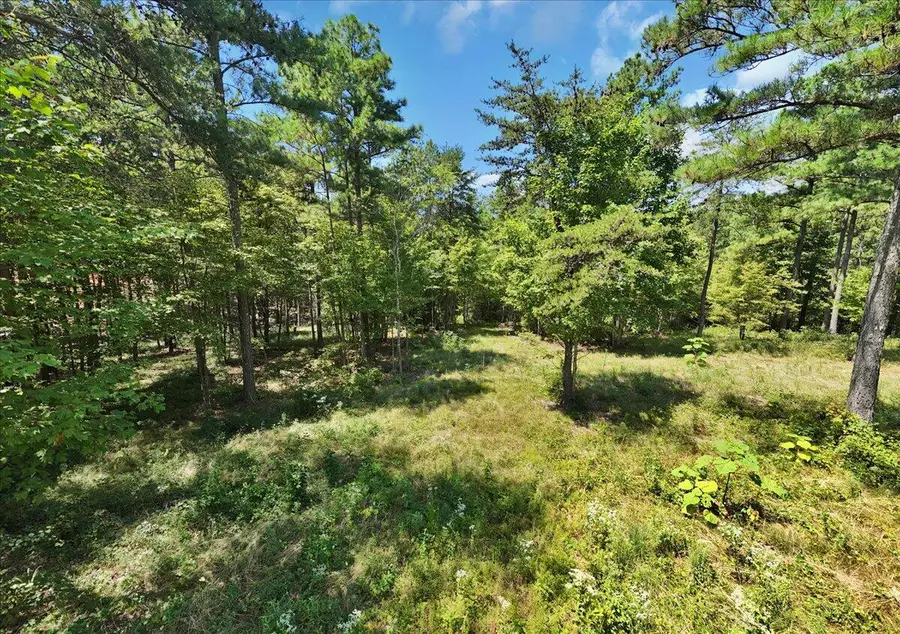 0 Musket Road #1324, Guild, TN 37340 - Image #3